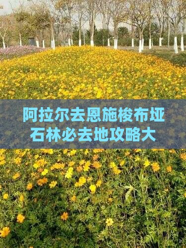 阿拉尔去恩施梭布垭石林必去地
