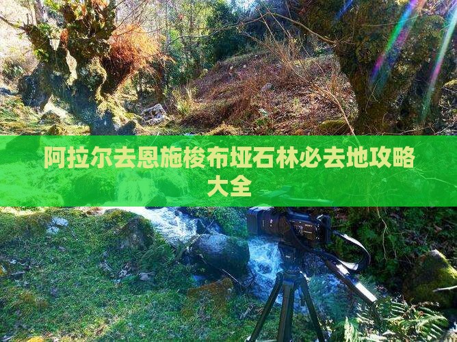 阿拉尔去恩施梭布垭石林必去地