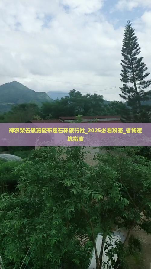 神农架去恩施梭布垭石林旅行社