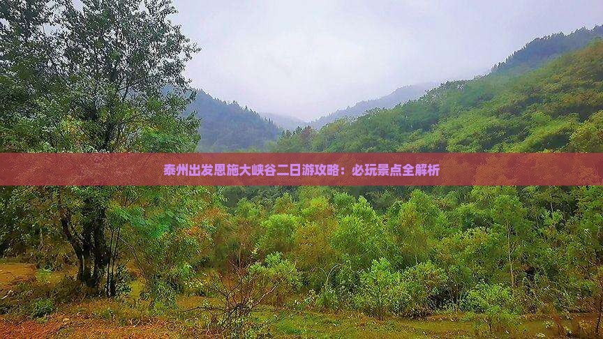 泰州去恩施大峡谷二日游