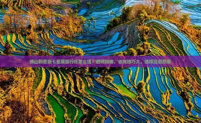 佛山到恩施七星寨旅行社