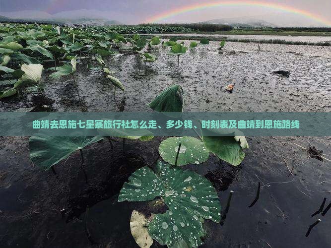 曲靖去恩施七星寨旅行社