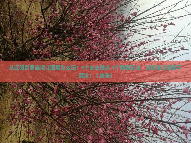 辽阳去恩施清江画廊哪里玩