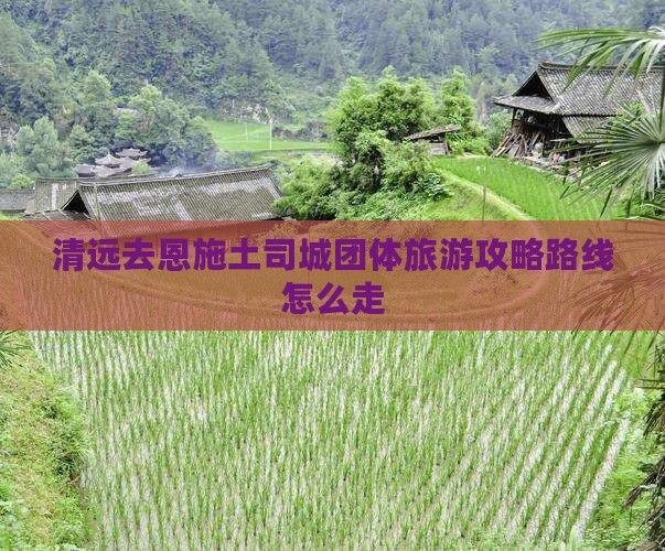 清远去恩施土司城团体旅游
