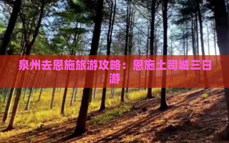 泉州去恩施土司城三日游