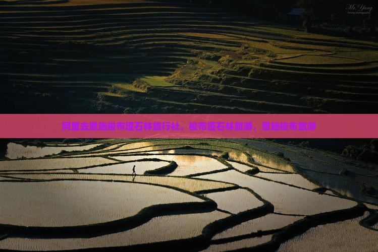 阿里去恩施梭布垭石林旅行社