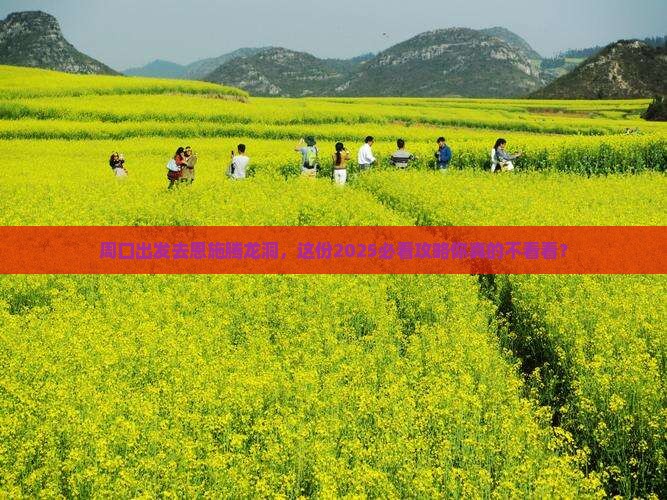 周口去恩施腾龙洞大型旅游团