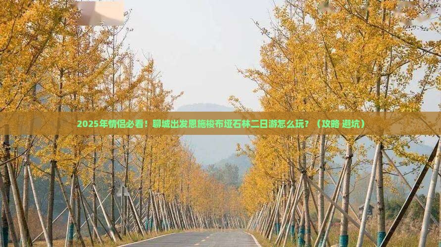 聊城去恩施梭布垭石林二日游
