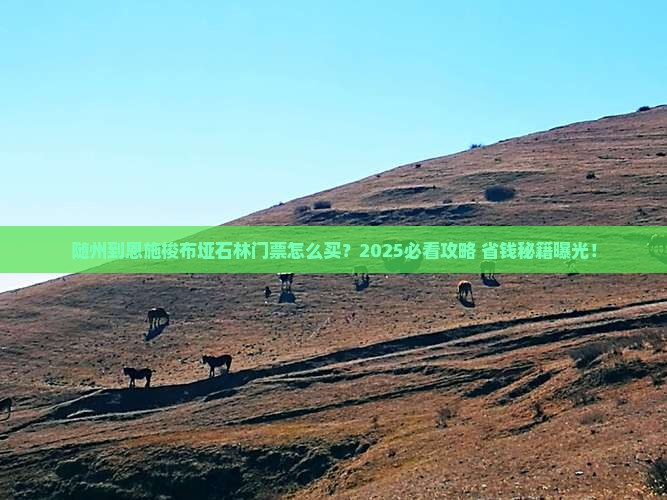 随州到恩施梭布垭石林门票