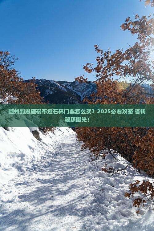 随州到恩施梭布垭石林门票