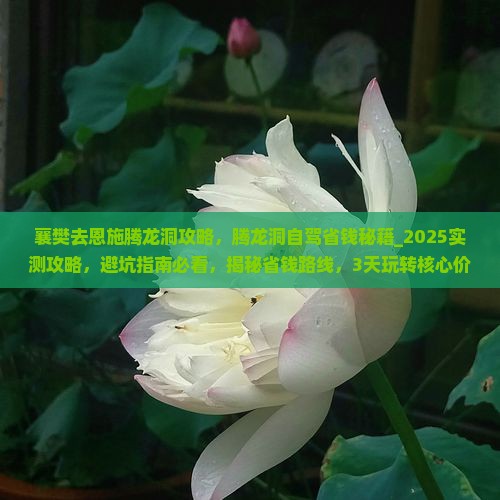 襄樊去恩施腾龙洞攻略