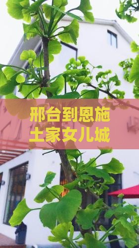 邢台到恩施土家女儿城攻略