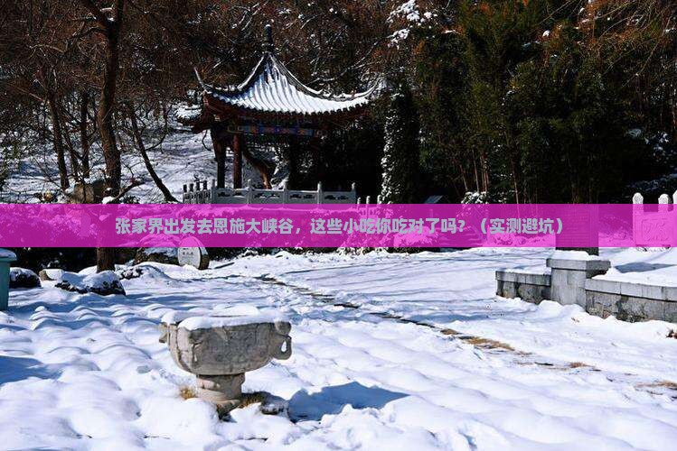 张家界去恩施大峡谷旅游小吃