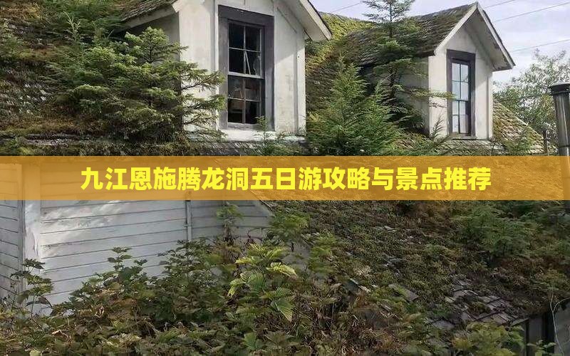 九江去恩施腾龙洞五日游