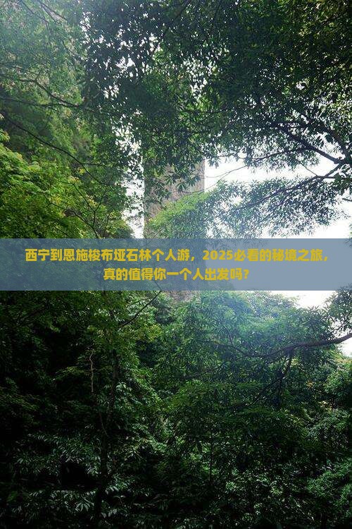 西宁到恩施梭布垭石林个人游