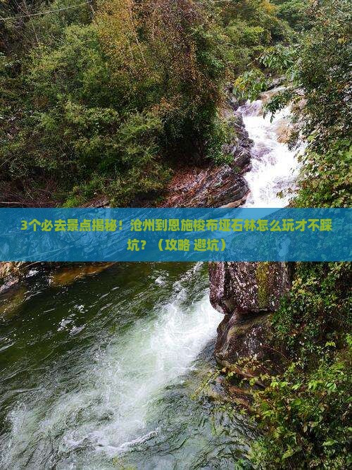 沧州到恩施梭布垭石林必去地