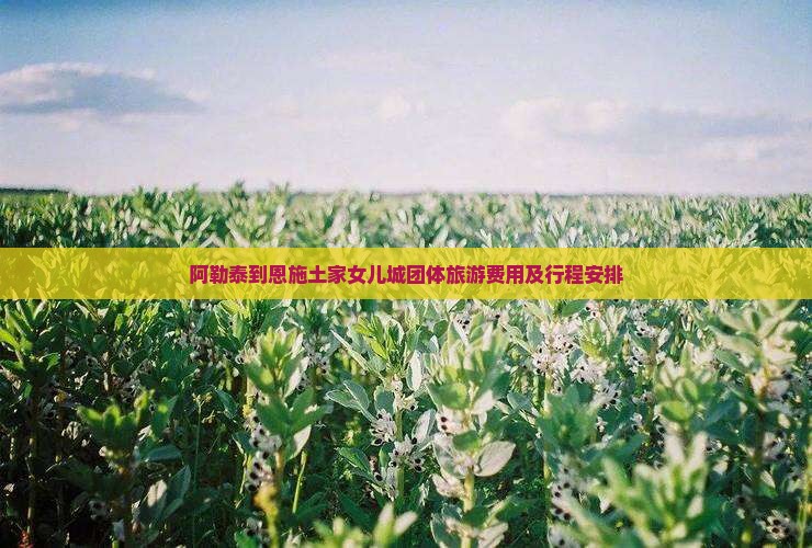 阿勒泰到恩施土家女儿城团体旅游