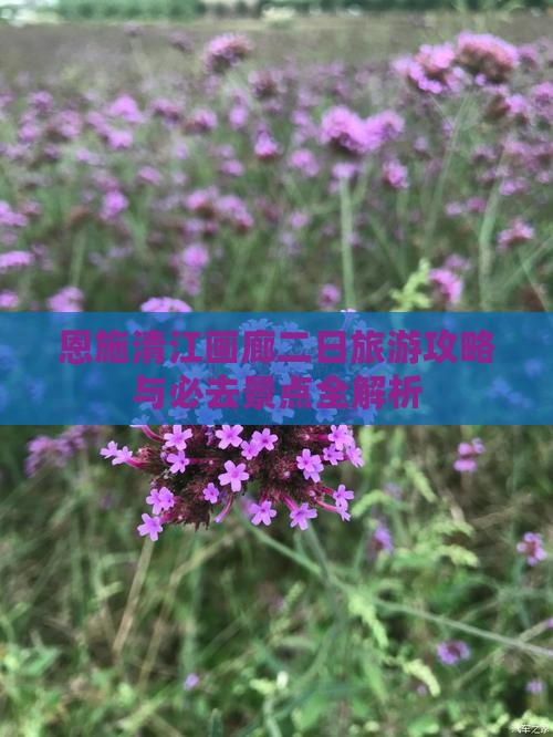 清明节到恩施清江画廊二日游