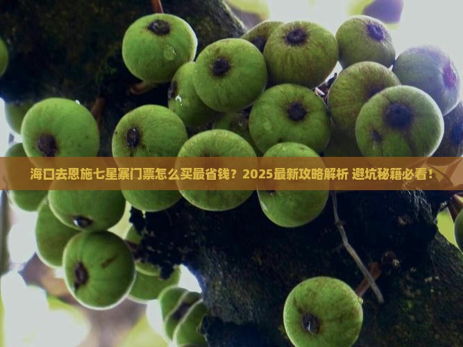 海口去恩施七星寨门票