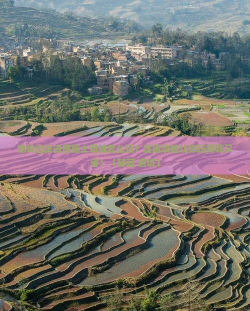 铁岭去恩施土司城攻略