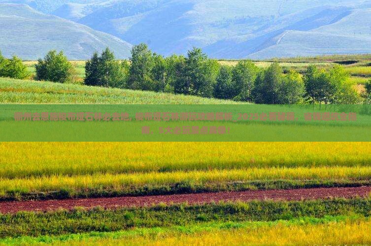 衢州去恩施梭布垭石林必去地