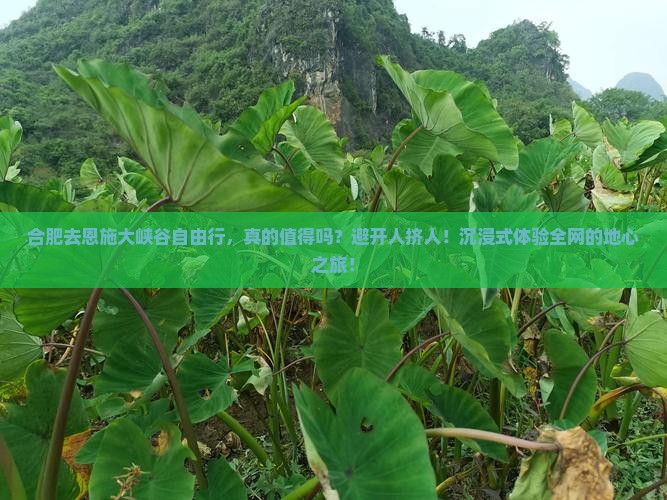 合肥去恩施大峡谷自由行