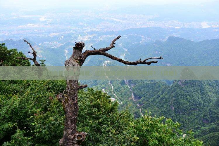 阿勒泰到恩施土司城团体旅游