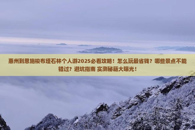 惠州到恩施梭布垭石林个人游