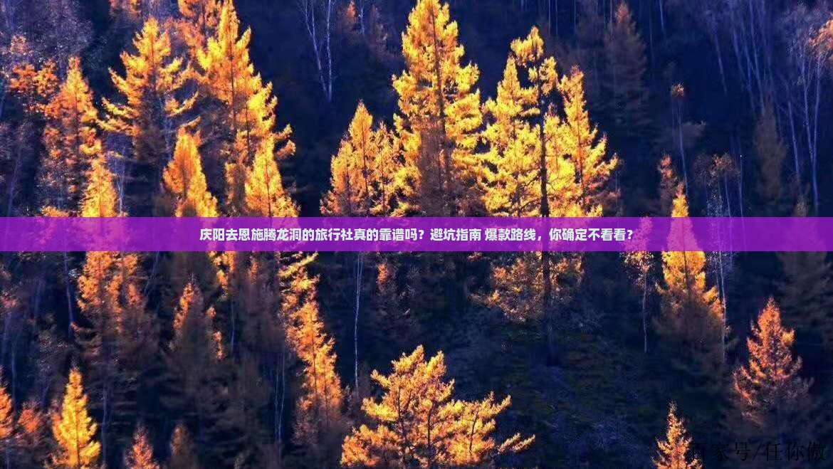 庆阳去恩施腾龙洞旅行社