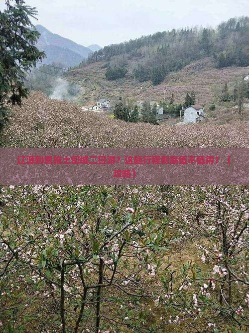 辽源到恩施土司城二日游