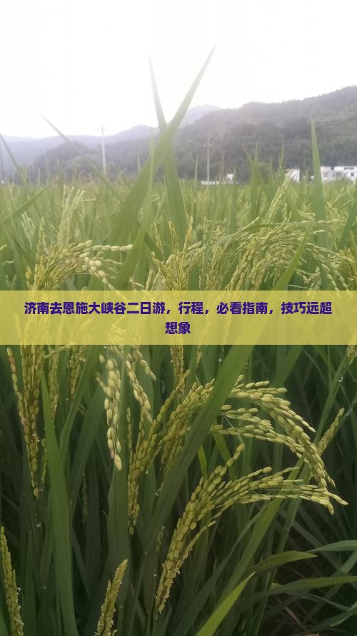 济南去恩施大峡谷二日游