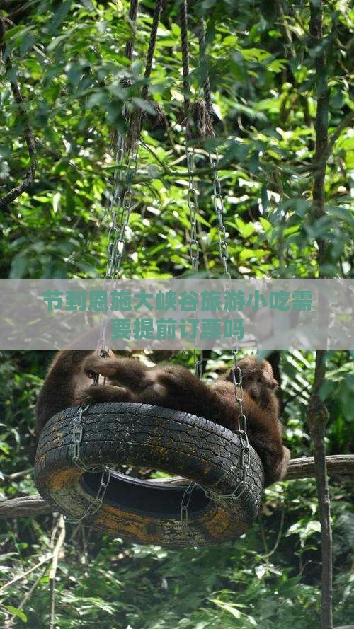 国庆节到恩施大峡谷旅游小吃 国庆节到恩施大峡谷旅游小吃