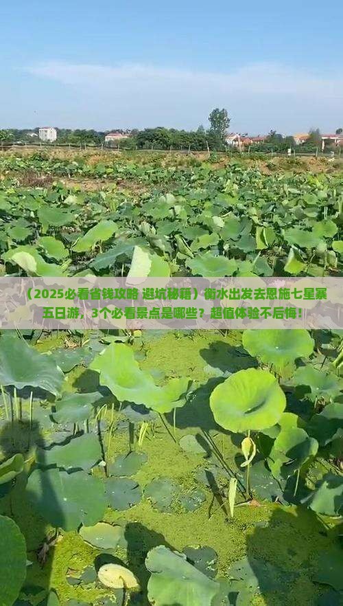 衡水去恩施七星寨五日游