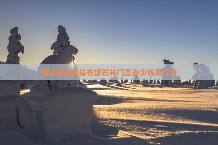 普洱去恩施梭布垭石林门票