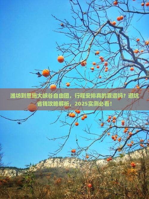潍坊到恩施大峡谷自由团