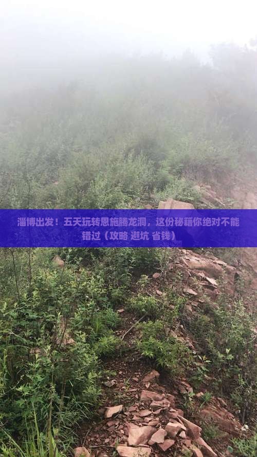 淄博到恩施腾龙洞五日游
