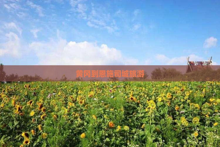 黄冈到恩施土司城旅行社