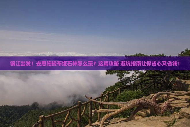 镇江到恩施梭布垭石林景点