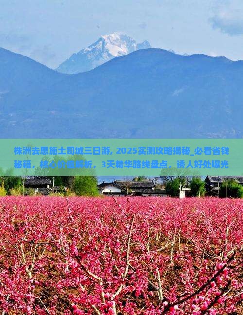 株洲去恩施土司城三日游