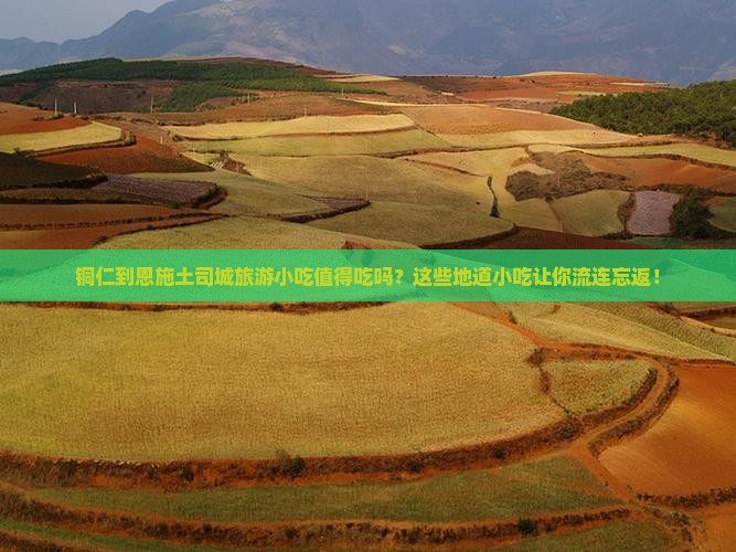 铜仁到恩施土司城旅游小吃