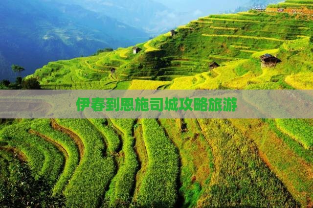 伊春到恩施土司城大型旅游团