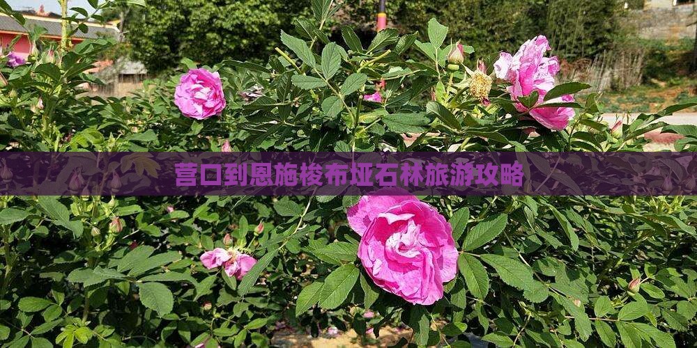 营口去恩施梭布垭石林团体旅游