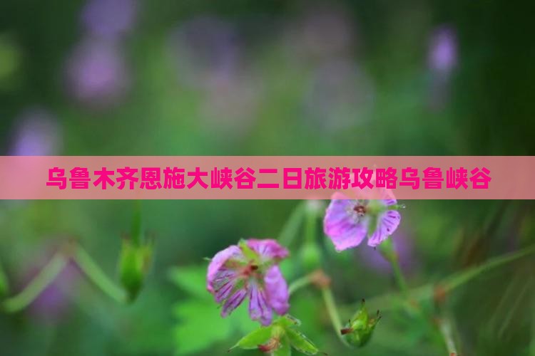 乌鲁木齐去恩施大峡谷二日游
