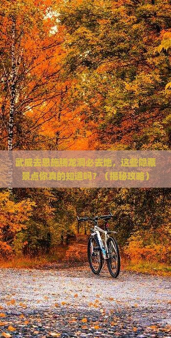 武威去恩施腾龙洞必去地