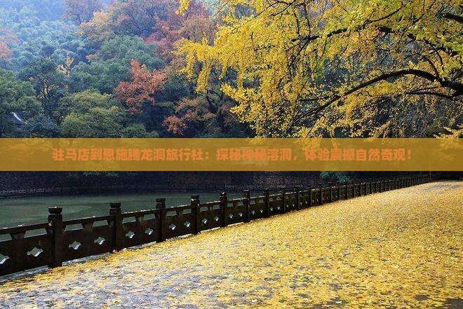 驻马店到恩施腾龙洞旅行社