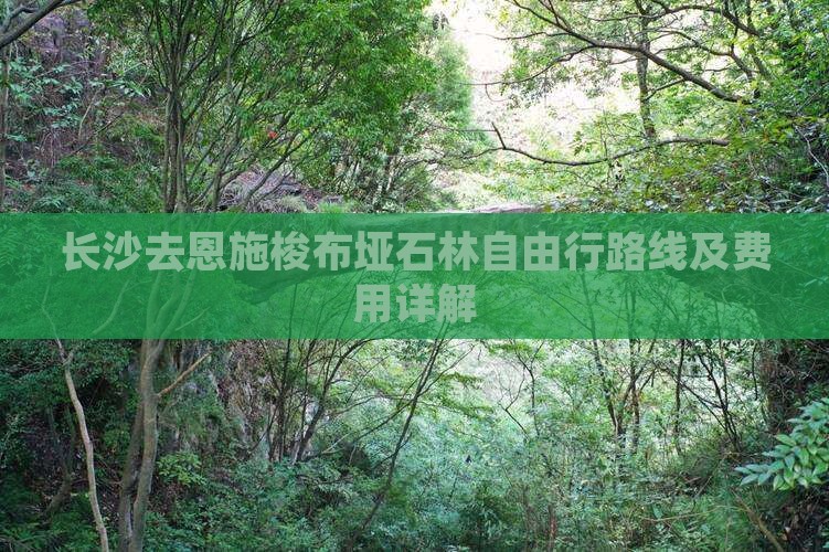 长沙去恩施梭布垭石林自由行