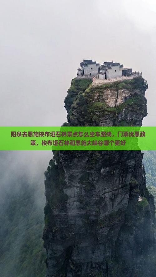 阳泉去恩施梭布垭石林景点