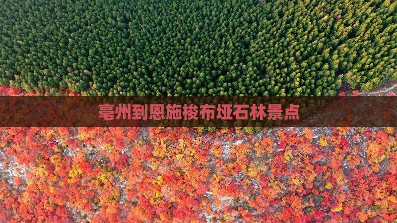 亳州到恩施梭布垭石林景点