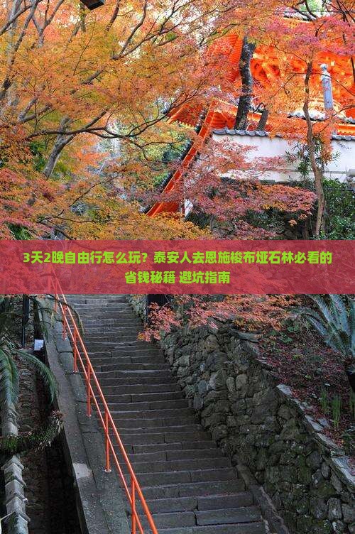泰安去恩施梭布垭石林自由团