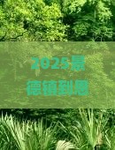景德镇到恩施土司城旅游